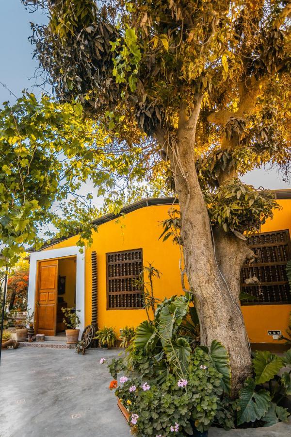 Luchy'S Country House Pansiyon Ica Dış mekan fotoğraf