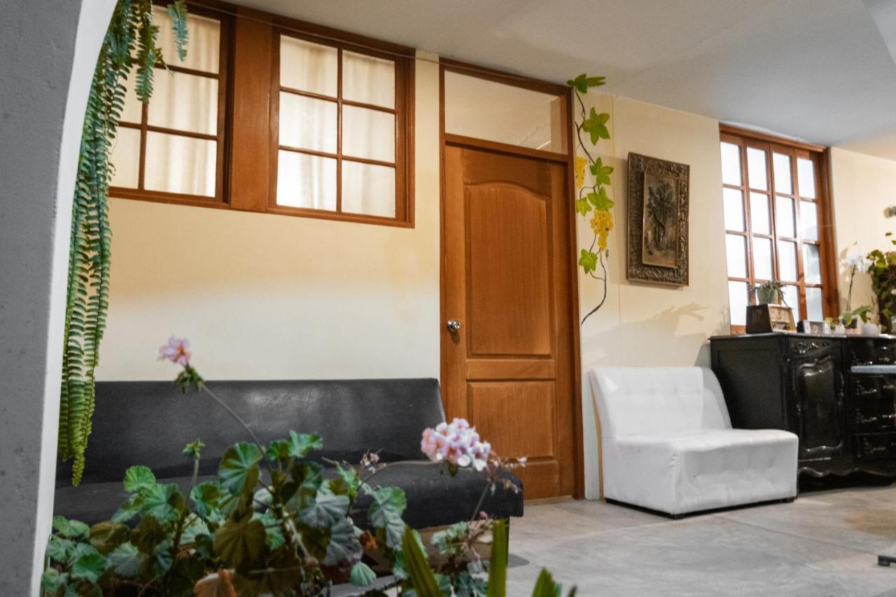 Luchy'S Country House Pansiyon Ica Dış mekan fotoğraf