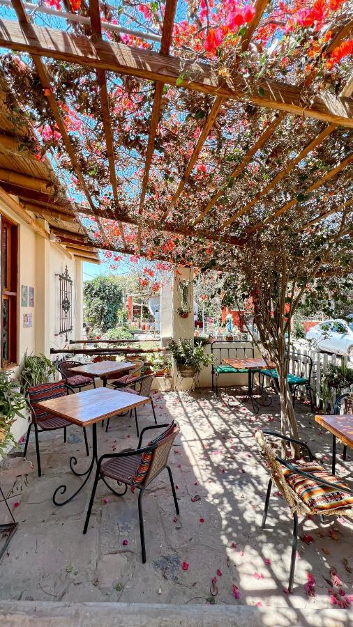Luchy'S Country House Pansiyon Ica Dış mekan fotoğraf